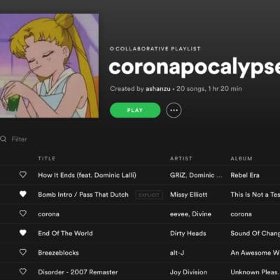 screenshot of a spotify playlist 