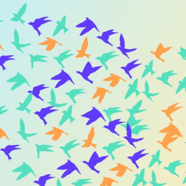 light green gradient background with flock of colorful illustrated birds